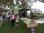 Image0008