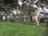 Image0023